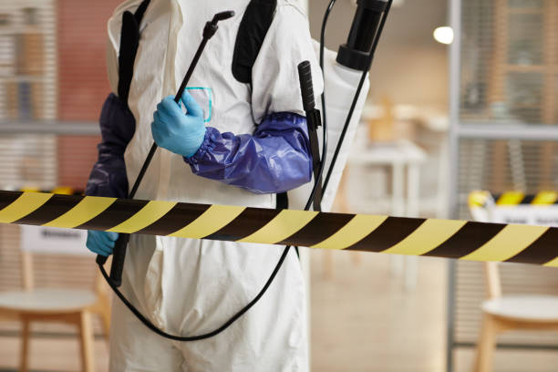 Professional Sewage Cleanup technician working in Richland, NJ